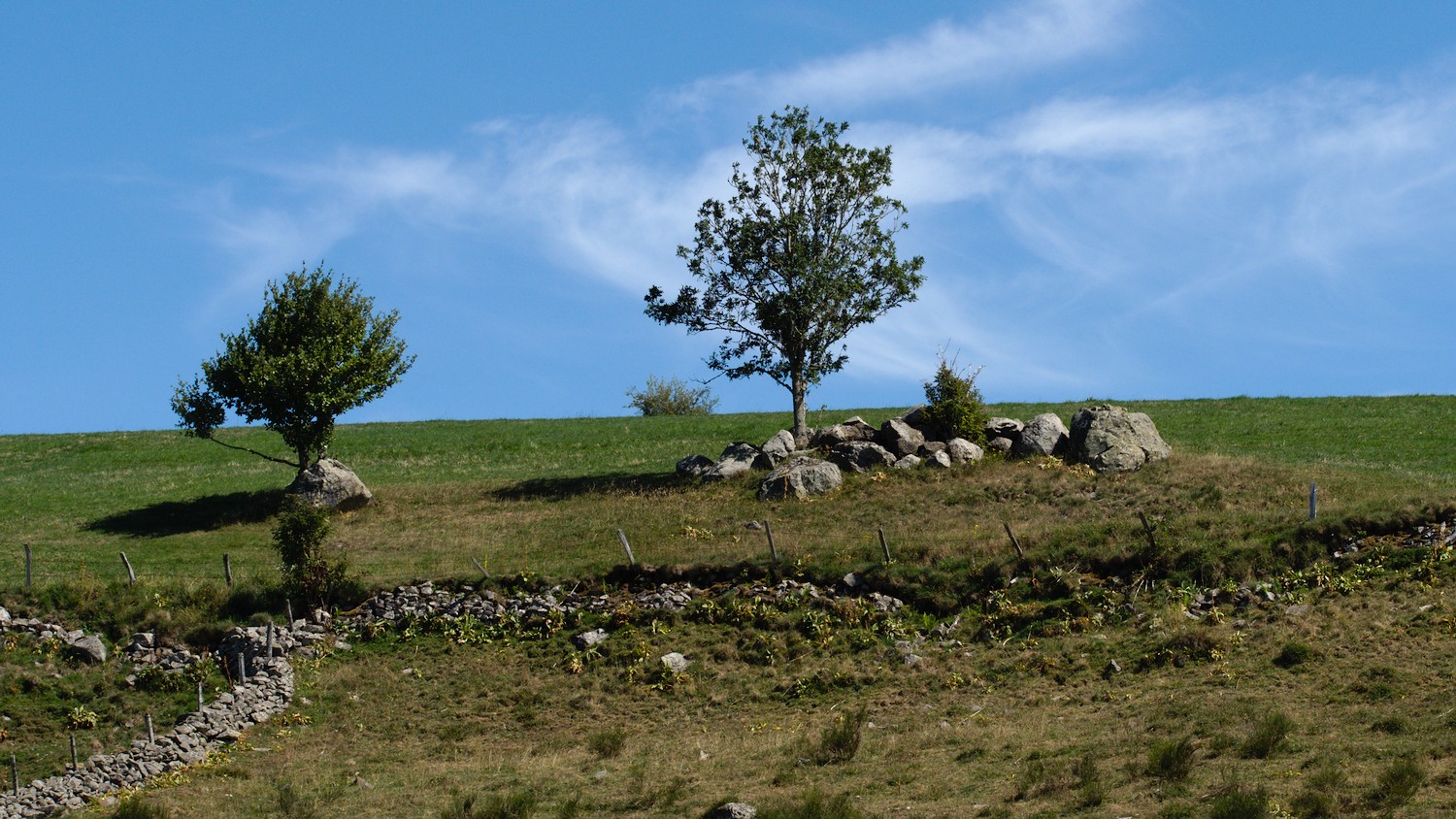 P9032080.jpg