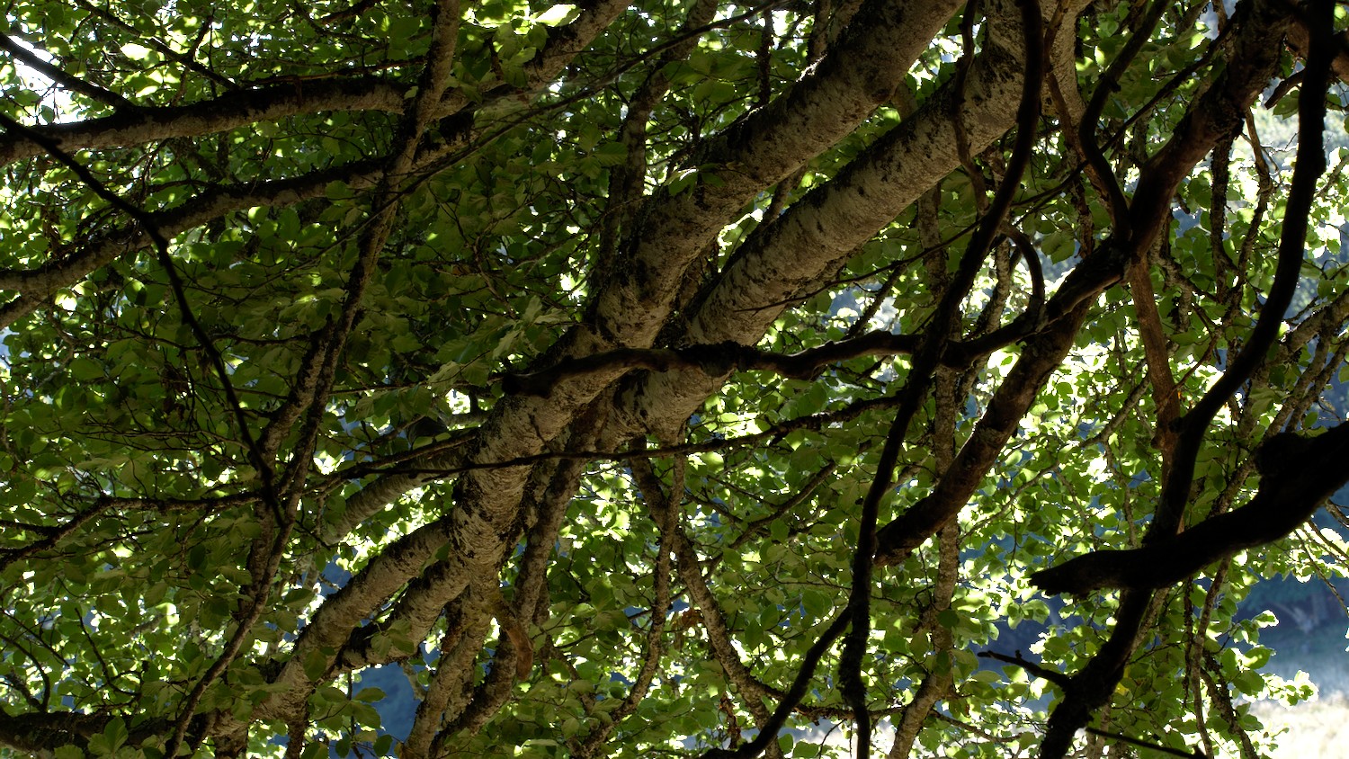 P9042090.jpg