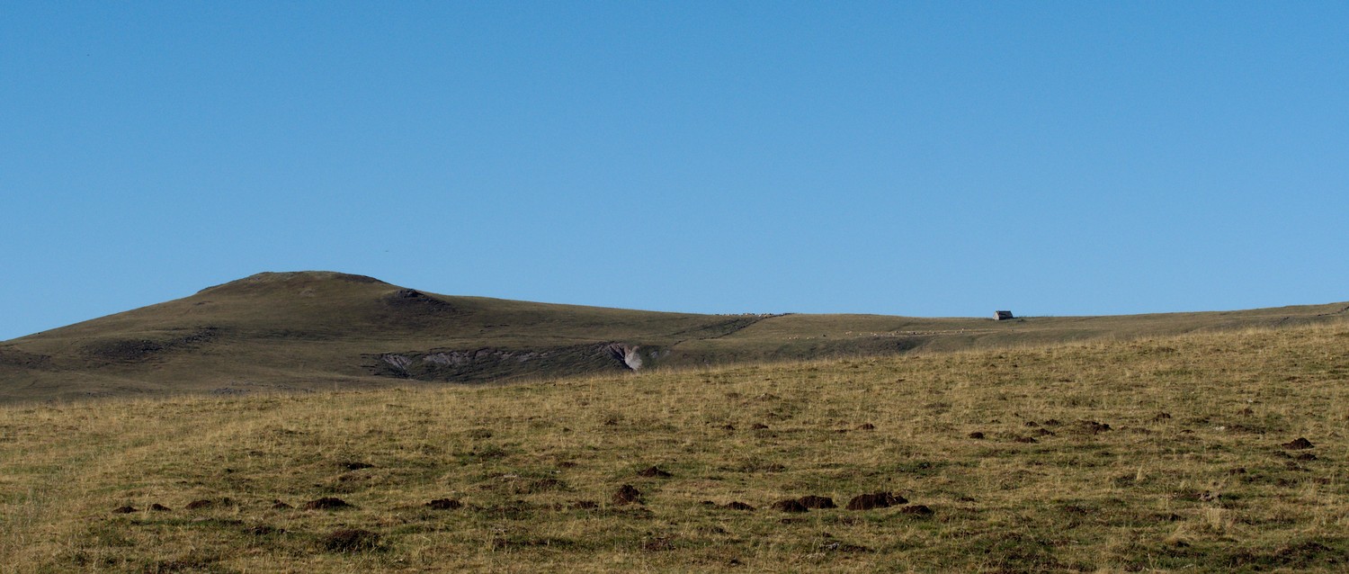 P9042094.jpg