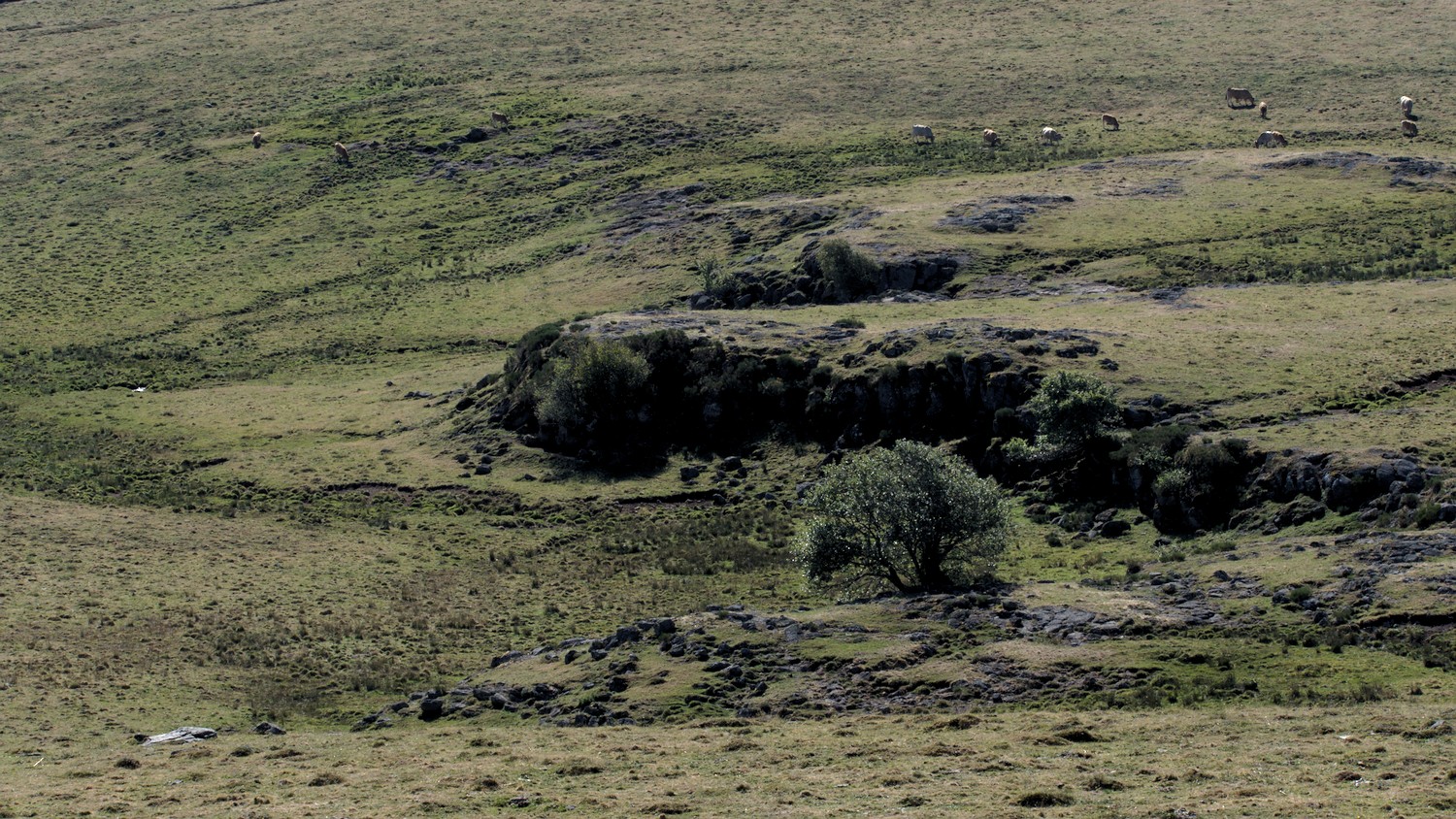 P9042103.jpg