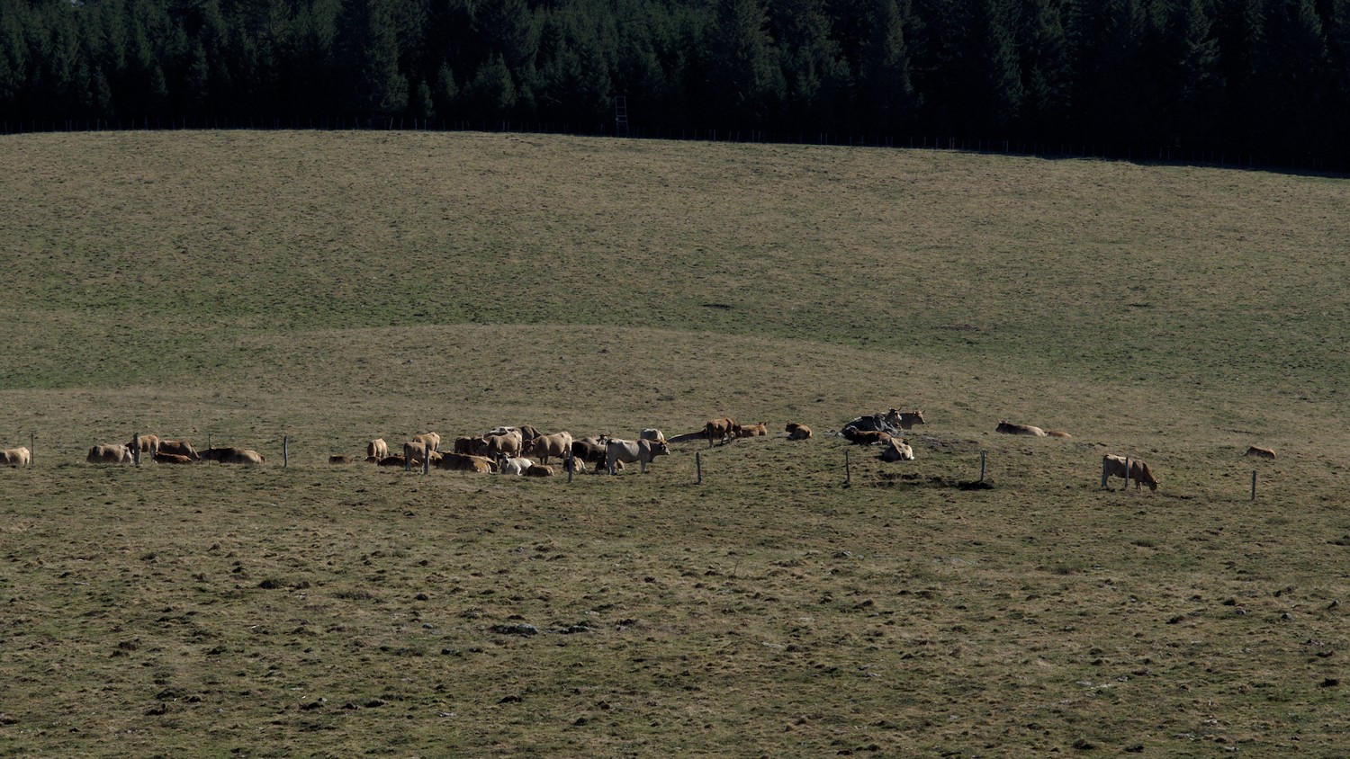 P9042105.jpg