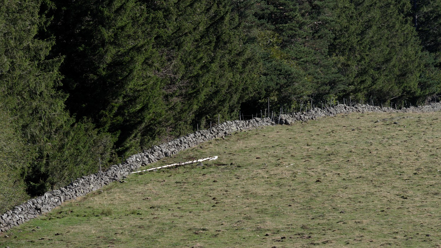 P9042106.jpg
