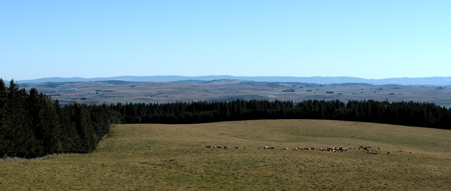 P9042107.jpg