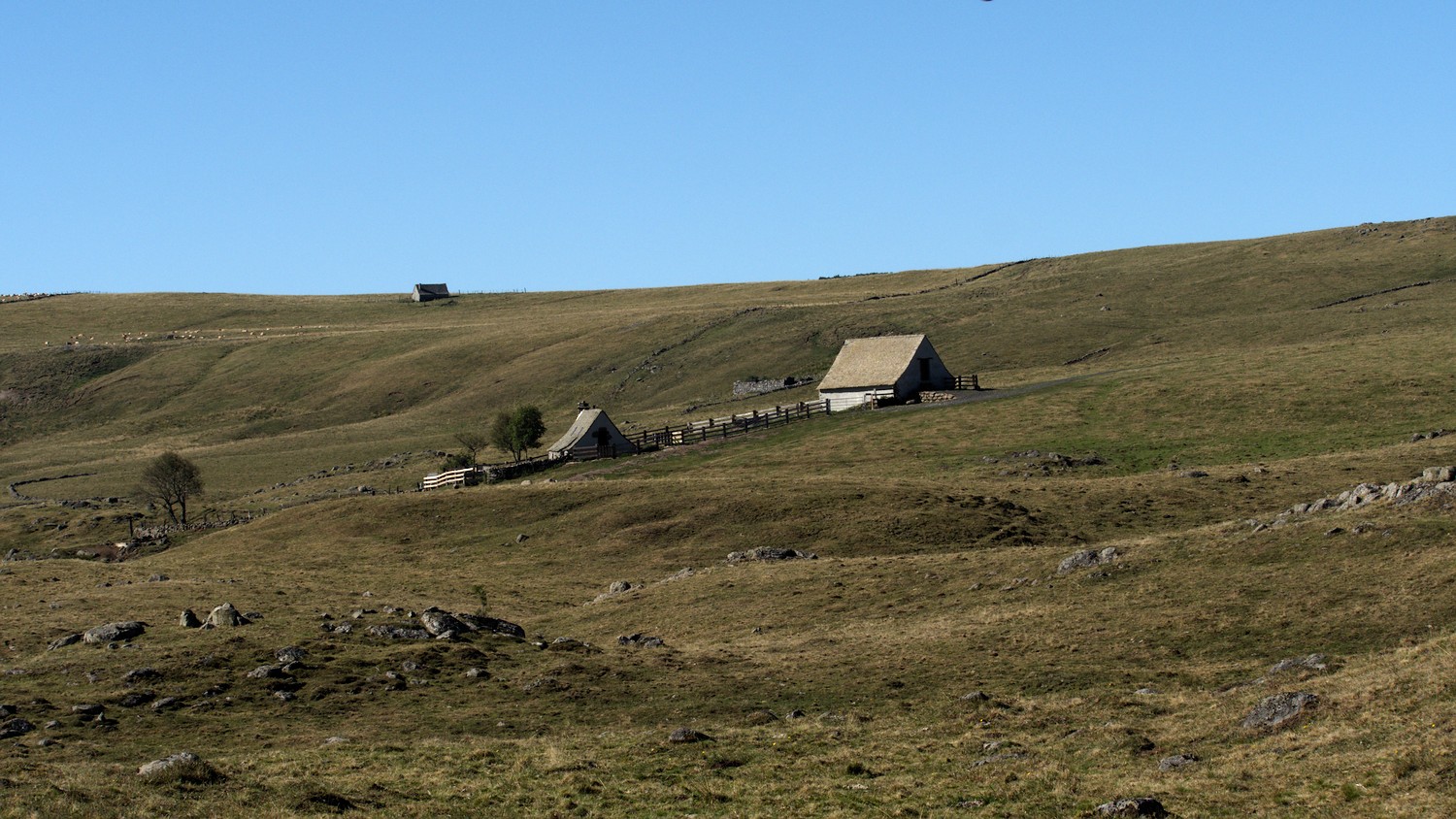 P9042108.jpg