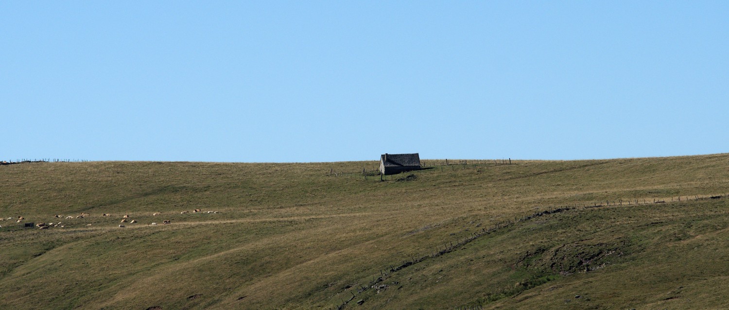 P9042113.jpg
