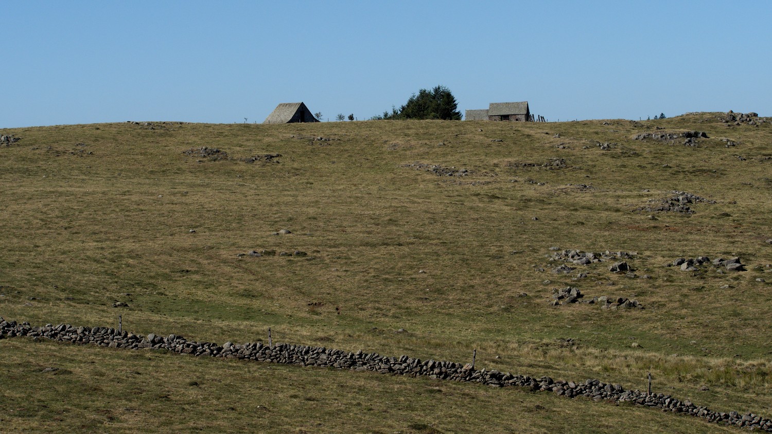 P9042114.jpg