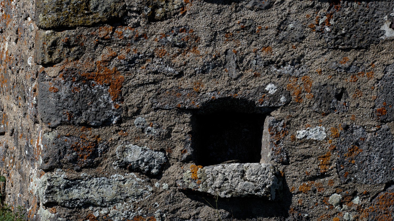 P9042137.jpg