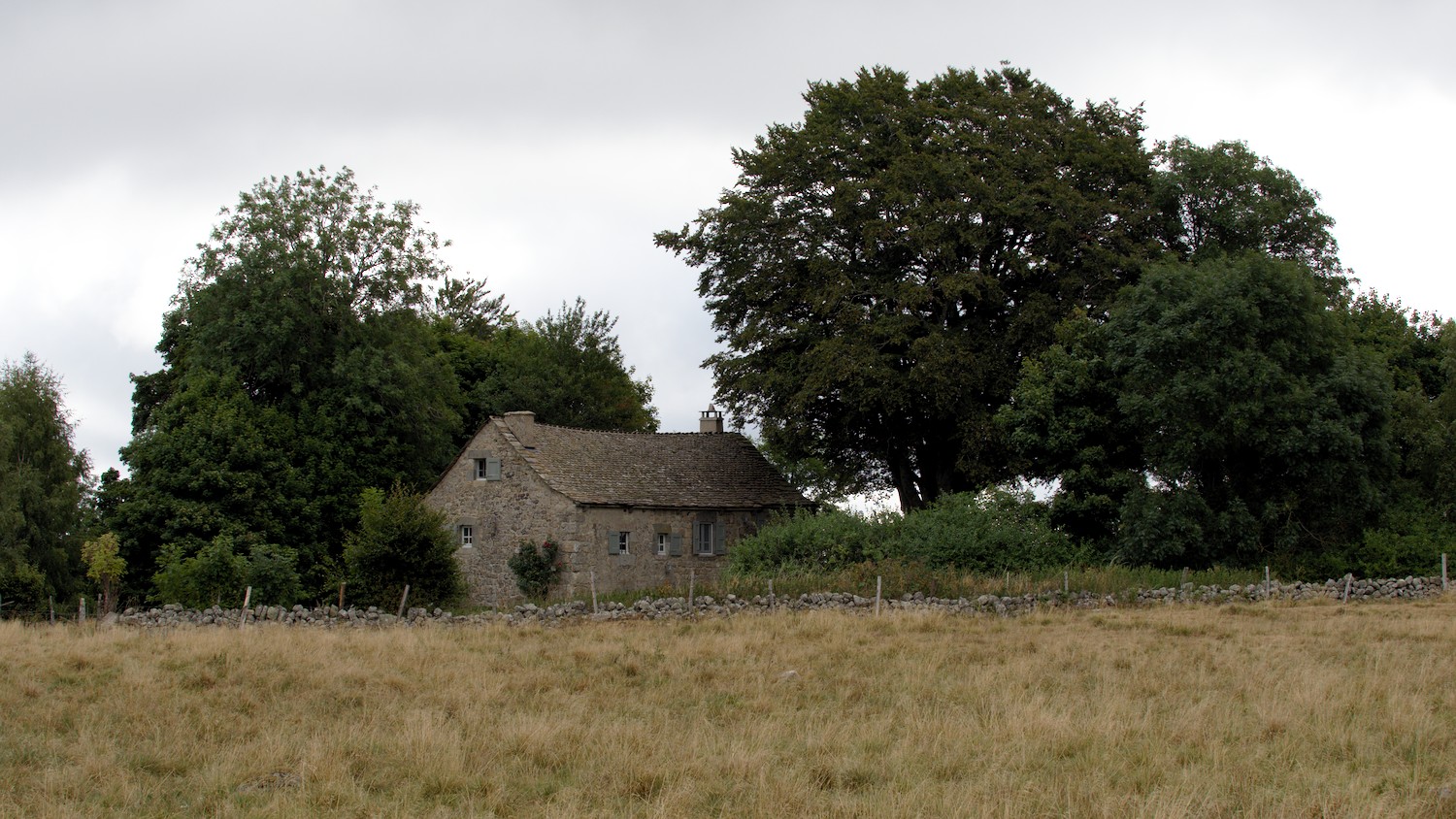 P9052164.jpg