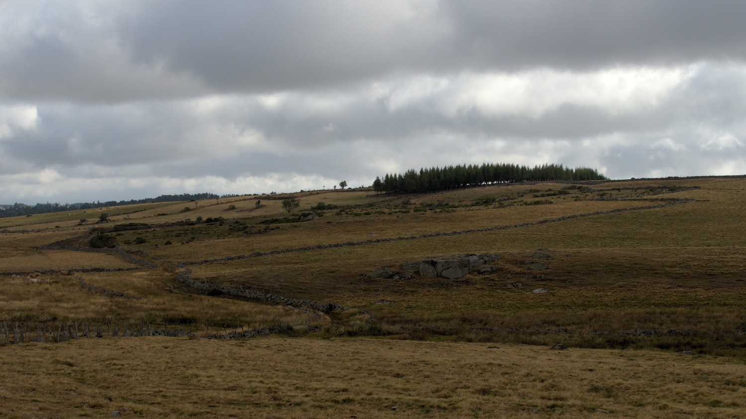P9052169.jpg