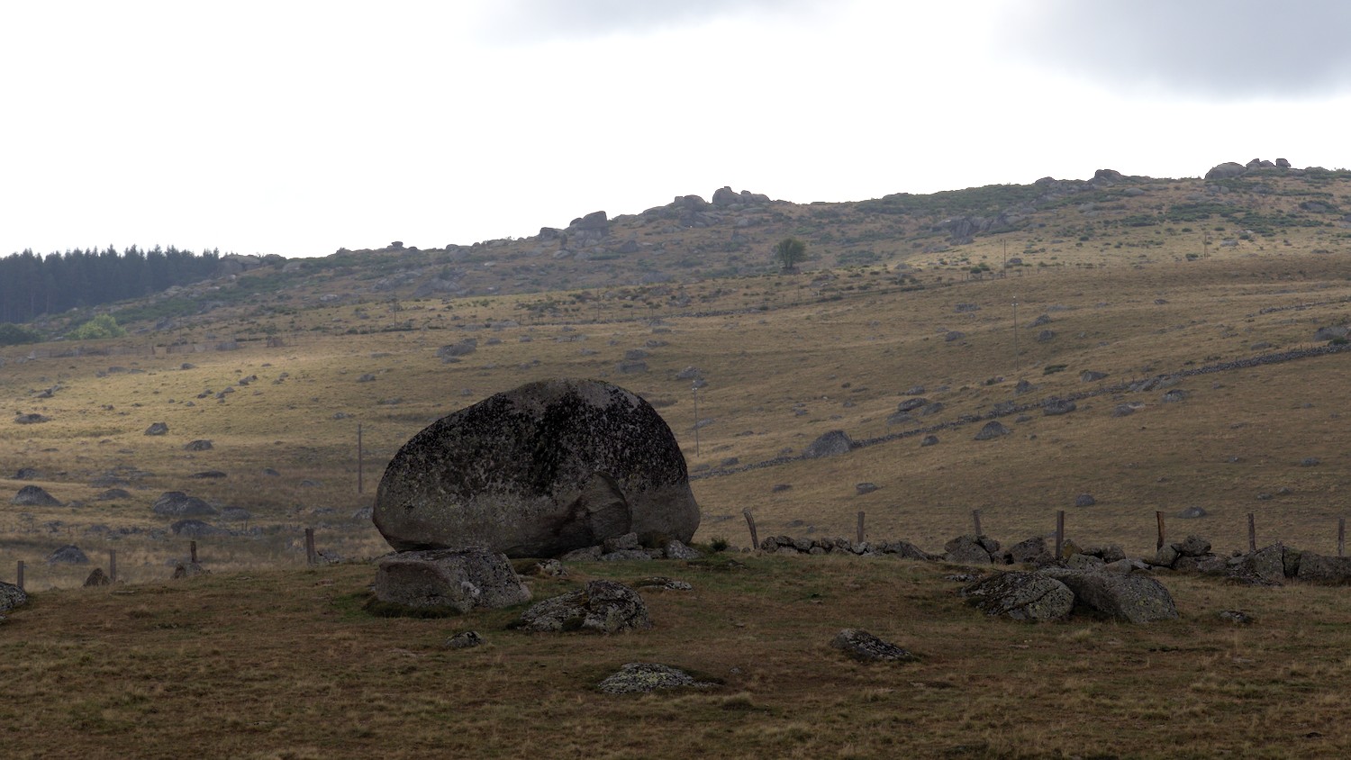 P9052172.jpg