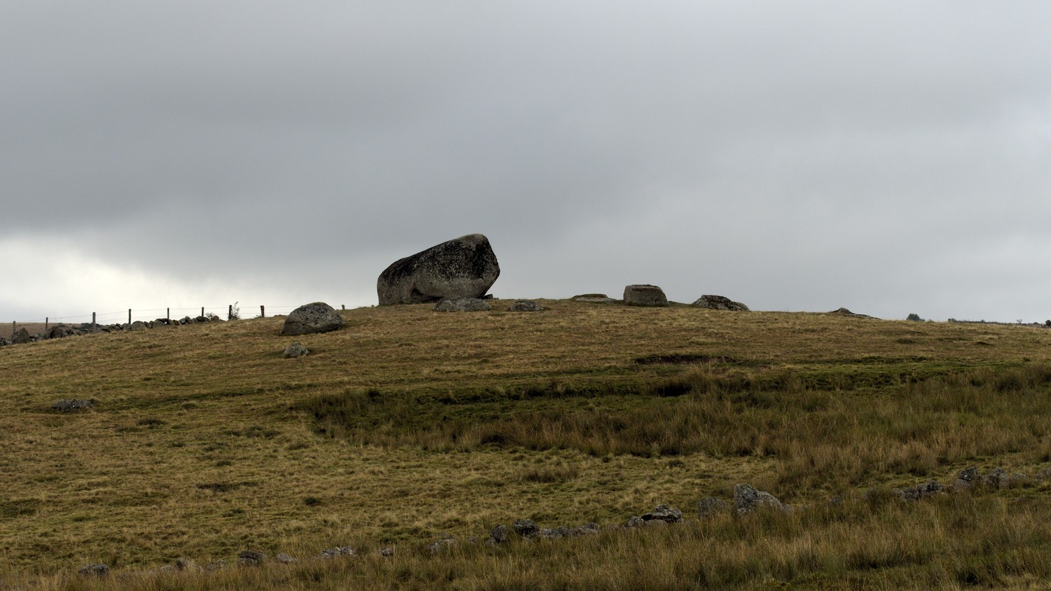 P9052175.jpg