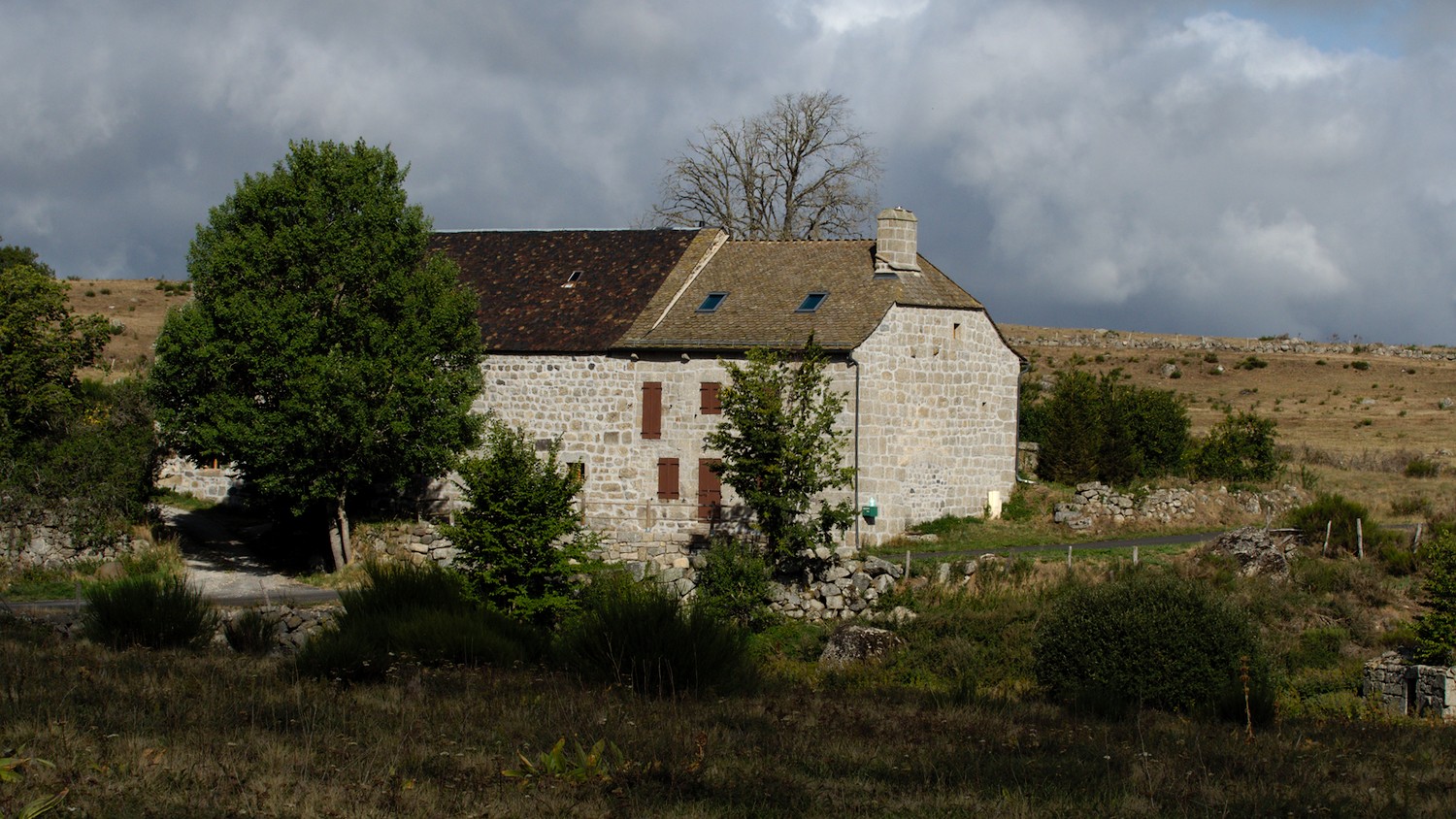 P9052182.jpg