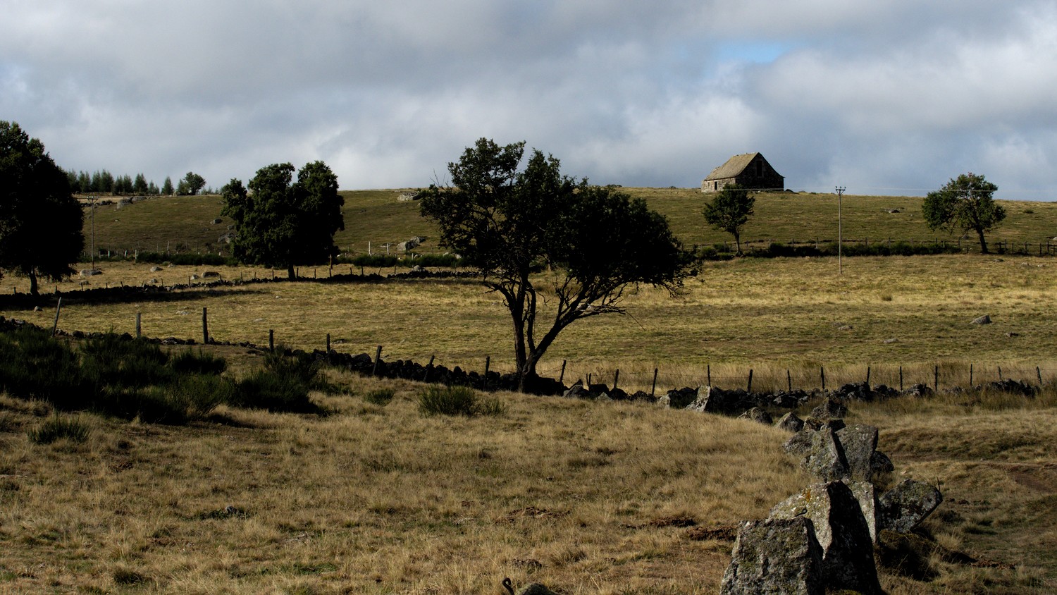 P9052184.jpg
