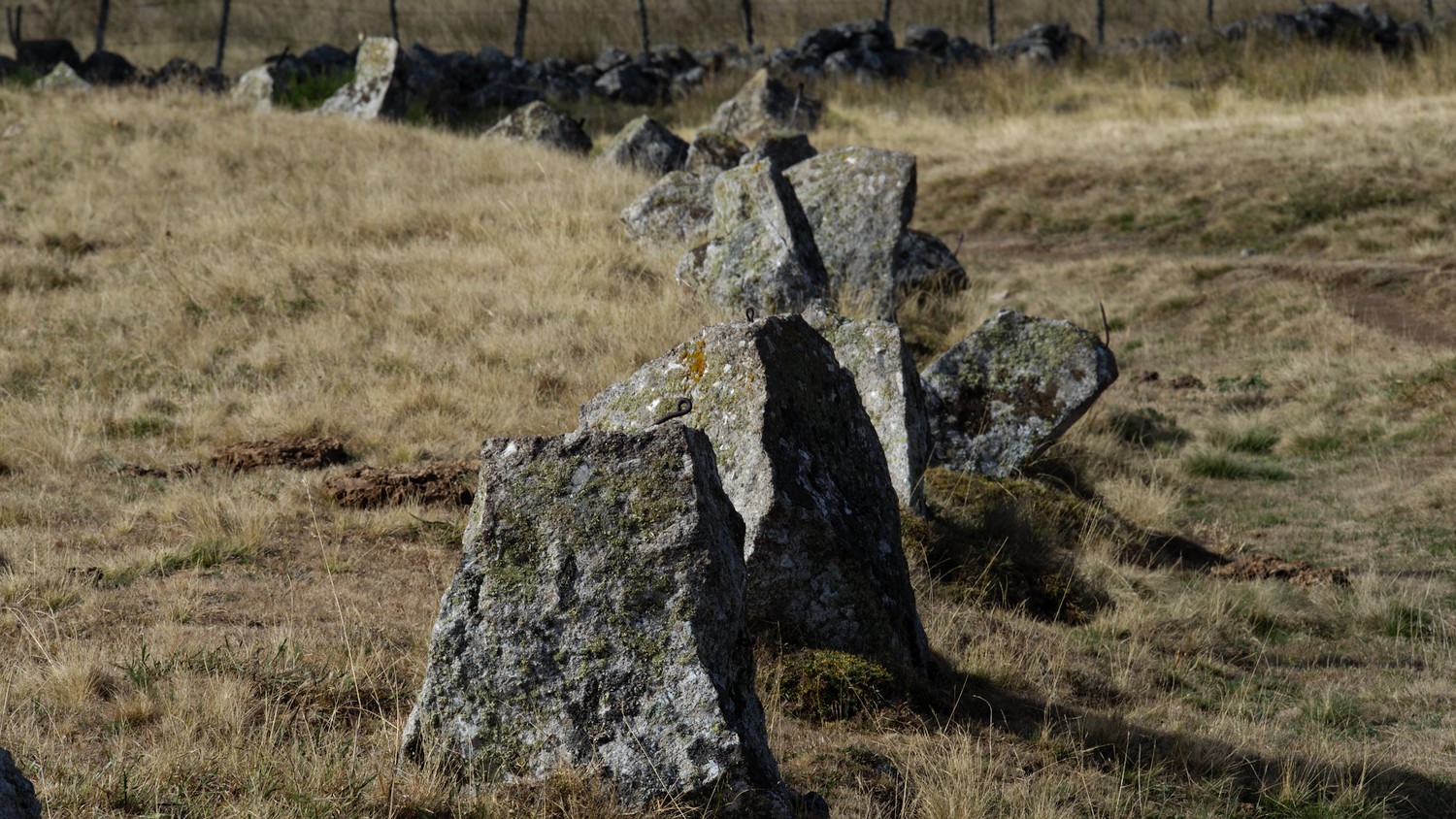 P9052186.jpg