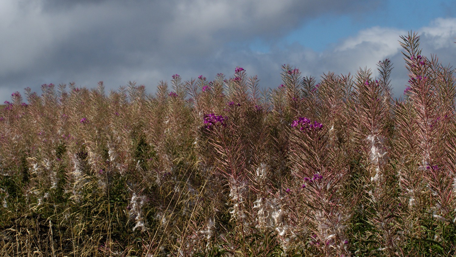 P9052187.jpg