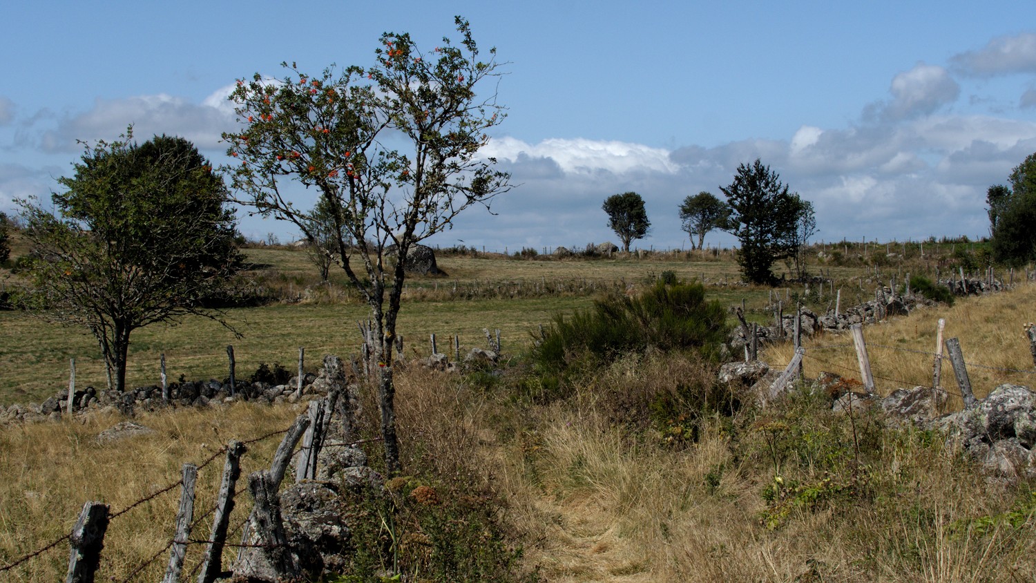 P9052247.jpg