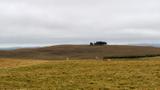 miniature-P9021785.jpg