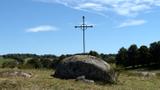 miniature-P9032075.jpg