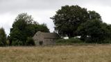 miniature-P9052164.jpg