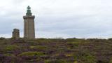 miniature-P7033416.jpg