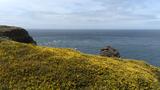 miniature-P7033455.jpg