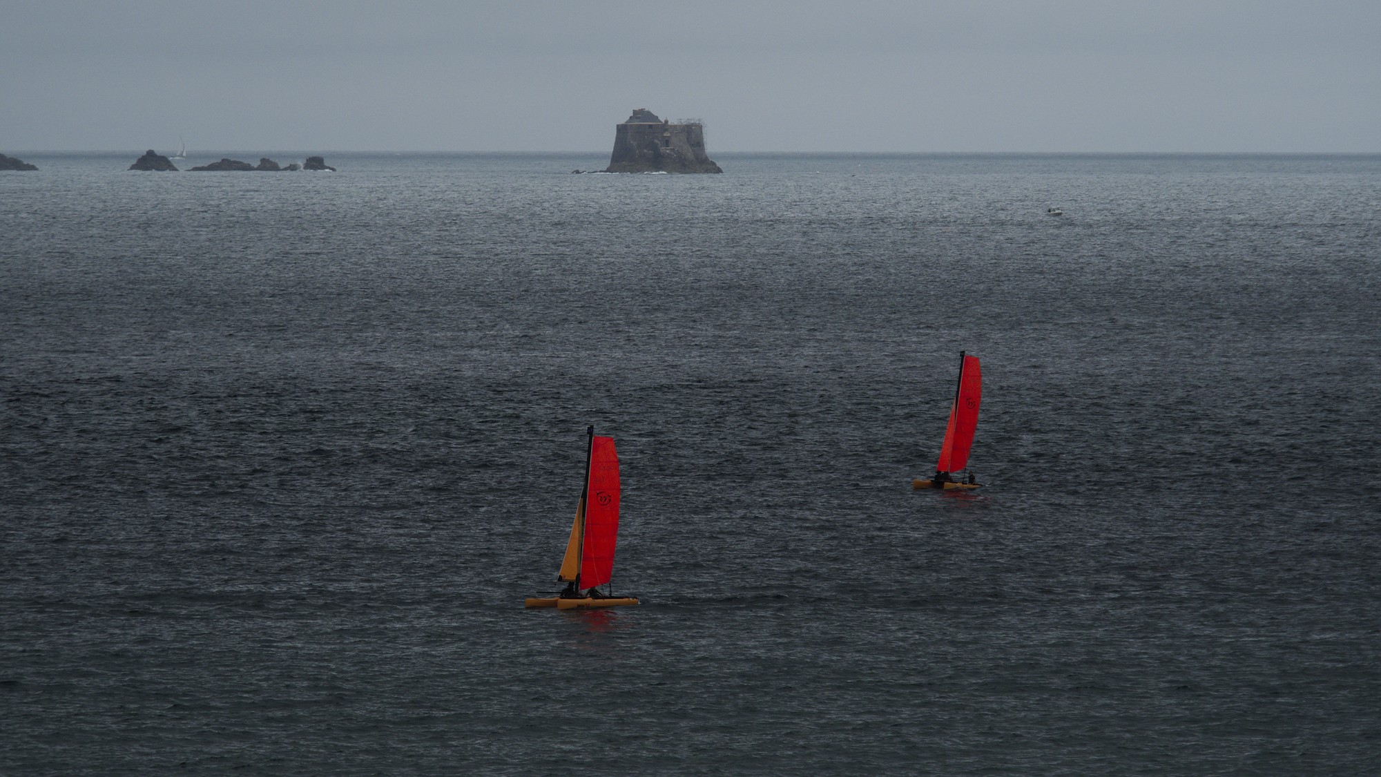 P7143794.jpg