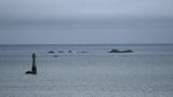 miniature-P7143755.jpg
