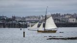 miniature-P7143762.jpg