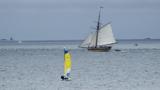 miniature-P7143778.jpg