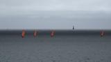 miniature-P7143784.jpg