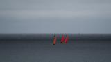 miniature-P7143788.jpg