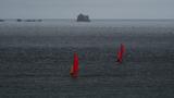 miniature-P7143794.jpg