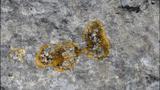 miniature-P9074074.jpg