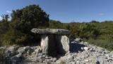 miniature-P9074080.jpg