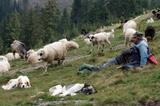 miniature-IMG_10009.jpg