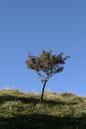 miniature-IMG_8741.jpg