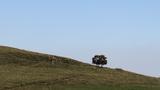 miniature-IMG_8757.jpg