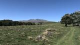 miniature-IMG_8758.jpg