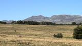 miniature-IMG_8762.jpg