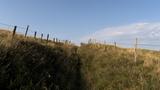 miniature-IMG_8780.jpg