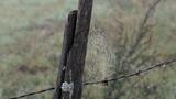 miniature-IMG_8786.jpg