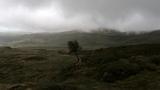 miniature-IMG_8791.jpg