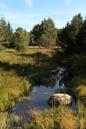 miniature-IMG_8816.jpg