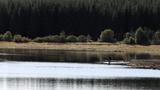 miniature-IMG_8817.jpg
