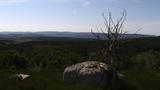 miniature-IMG_8821.jpg