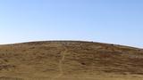 miniature-IMG_8841.jpg