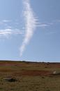 miniature-IMG_8845.jpg