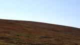 miniature-IMG_8848.jpg