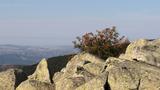 miniature-IMG_8852.jpg