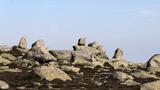 miniature-IMG_8854.jpg